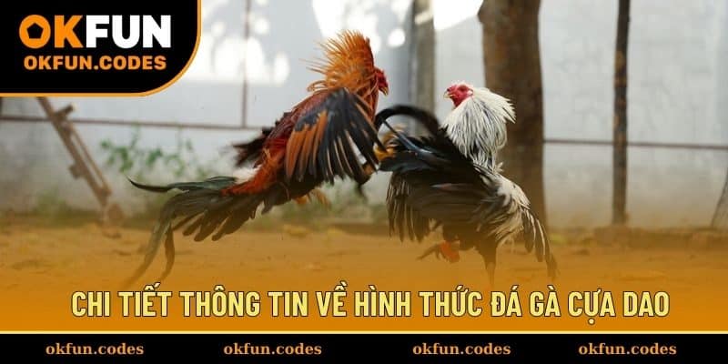 Chi tiết thông tin về hình thức đá gà cựa dao