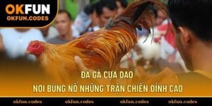 Đá Gà Cựa Dao
