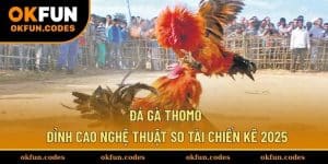 Đá Gà Thomo