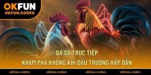 Đá Gà Trực Tiếp