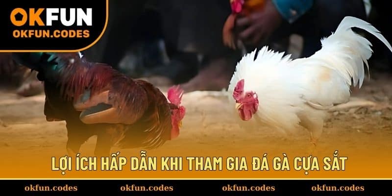 Lợi ích hấp dẫn khi tham gia đá gà cựa sắt tại OKFUN