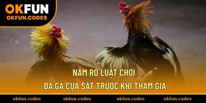 Nắm rõ luật chơi đá gà cựa sắt trước khi tham gia