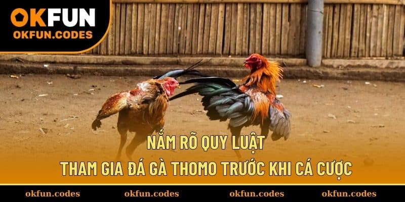 Nắm rõ quy luật tham gia đá gà Thomo trước khi cá cược