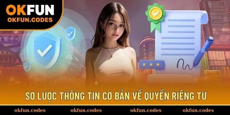 Sơ lược thông tin cơ bản về quyền riêng tư 