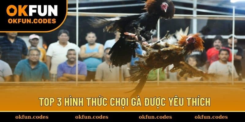 Top 3 hình thức chọi gà được yêu thích