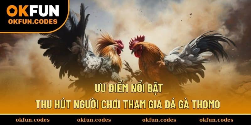Ưu điểm nổi bật thu hút người chơi tham gia đá gà Thomo